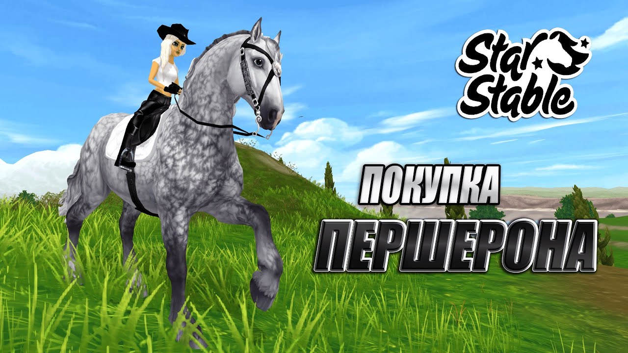 ШИКАРНЫЕ ПЕРШЕРОНЫ | ПОКУПКА И ОБЗОР | STAR STABLE ONLINE