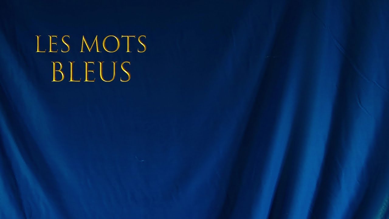 Johan Papaconstantino - Les mots bleus (Reprise de Christophe)