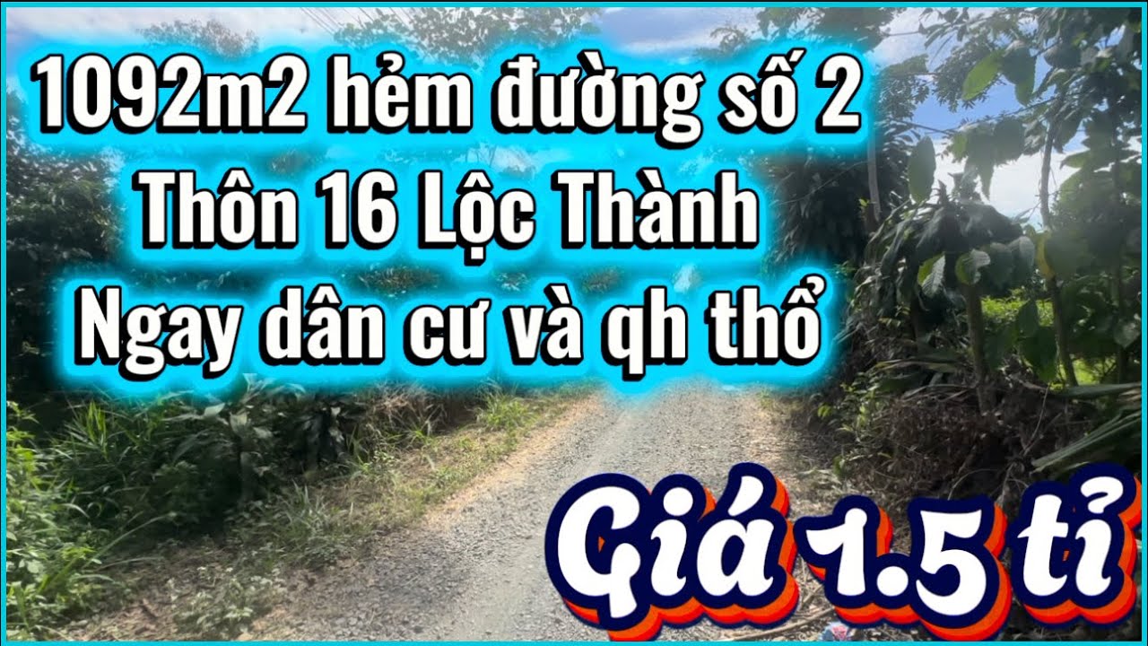 Đất sào nghỉ dưỡng gần bên quốc lộ🔝giá đất lô chỉ 1.5 tỉ🔝sở hữu ngay 1092m2 ngay dân cư view thoáng