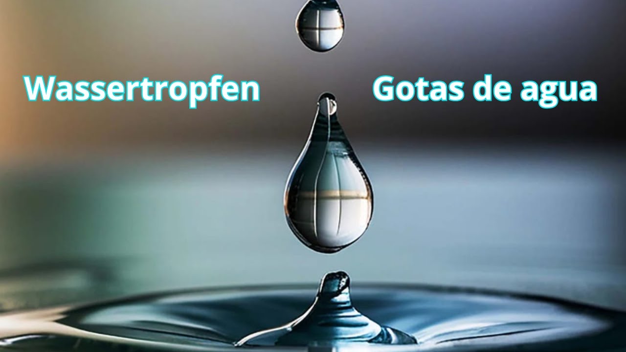🔴SONNTAG-DOMINGO 8.2.26🔴 ➡️Wassertropfen ➡️Gotas de agua