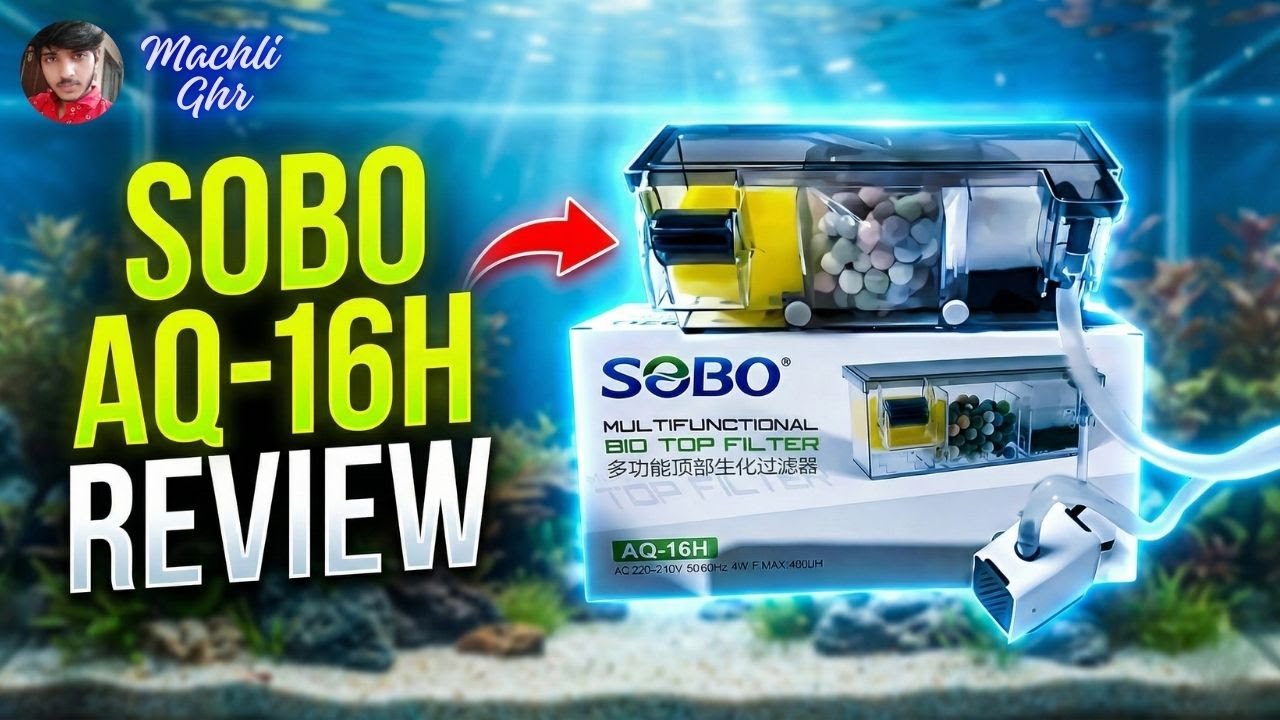 SOBO AQ-16H Full Review 🔥 Best Budget Waterfall Filter for 2–3 Ft Aquarium? #soboaq16h #sobo