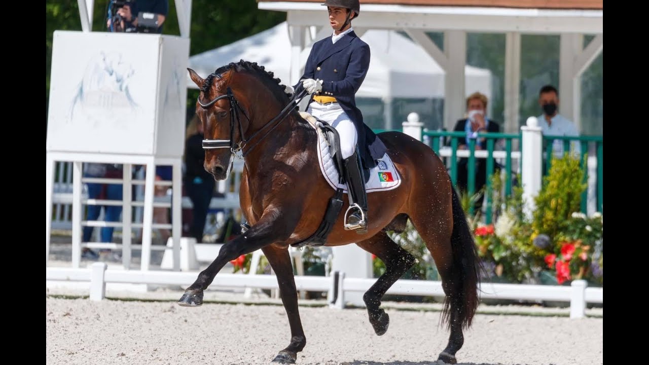 João Torrão & Equador MVL - Grand Prix Freestyle - 2021-05-30 CDIO5* Compiègne - 77.490%