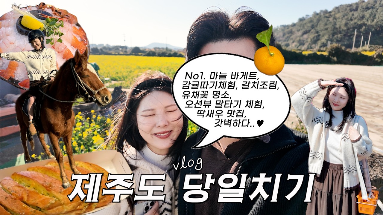 완벽했던 제주도 당일치기 여행🏝️🍊 14시간 알차게 놀다 온 제주 vlog | 무료 유채꽃밭🌼 제주 맛집들까지🤤 | #제주여행