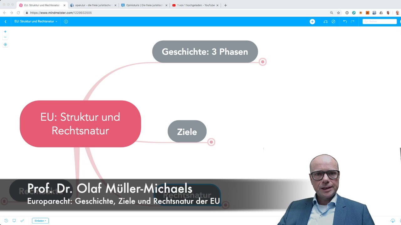 Europarecht: Geschichte, Ziele und Rechtsnatur der EU