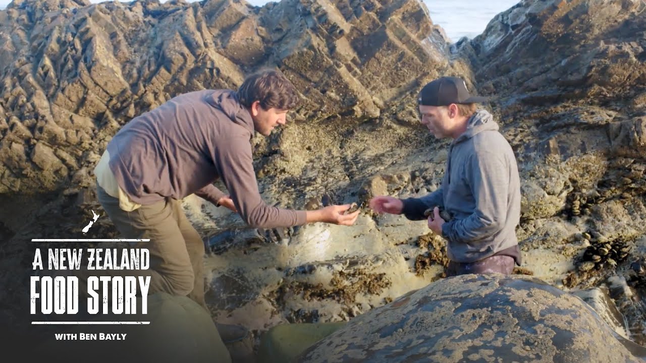 Whitebait in the Awarua valley and crayfish on the beach