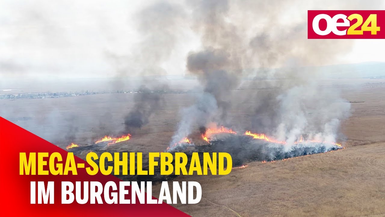Mega-Schilfbrand im Burgenland