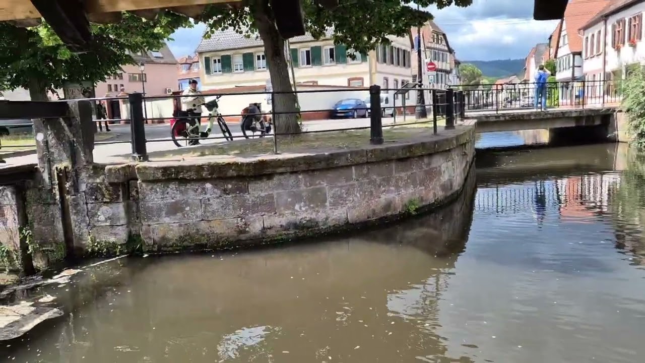 E-Bike Tour vom Neudahner Weiher nach Frankreich (Weißenburg) 55 Kilometer