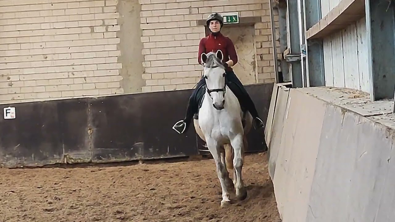 Reitstunde 11.2.26