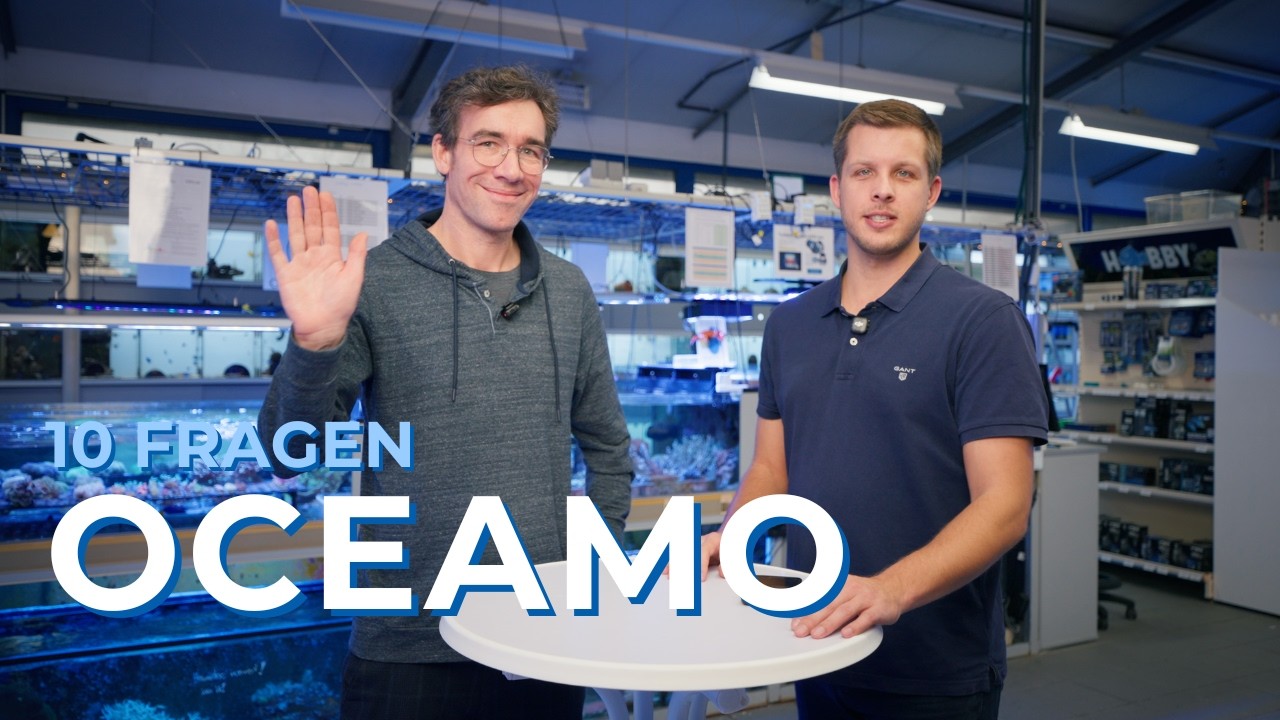 10 Fragen an... Dr. Christoph Denk (Oceamo)