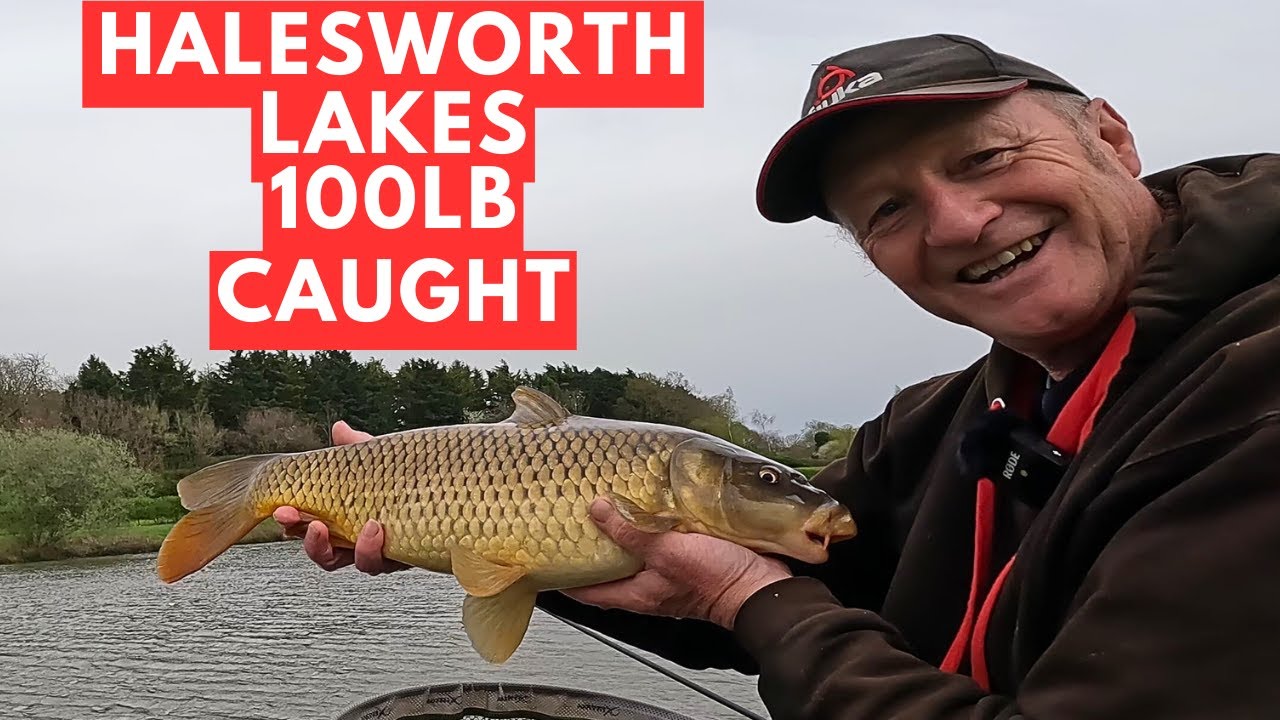 Pole Fishing Halesworth Lakes,  #JamesAtkinsFishing