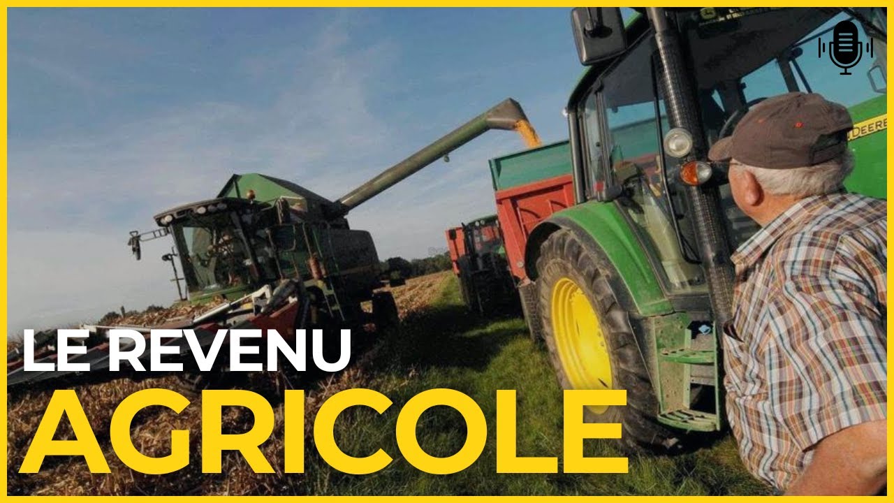 💰 Comment augmenter le revenu agricole ?
