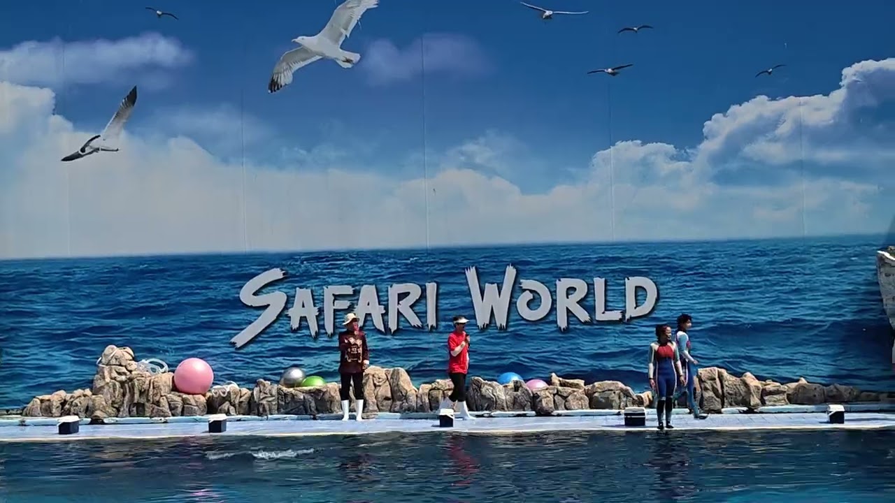 “Unbelievable Dolphin Show at Safari World 🐬💦 