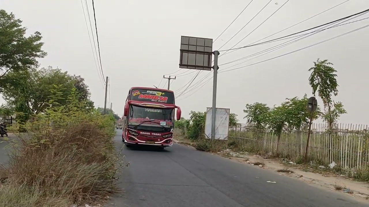 Bus Mahesa Bagus Trans