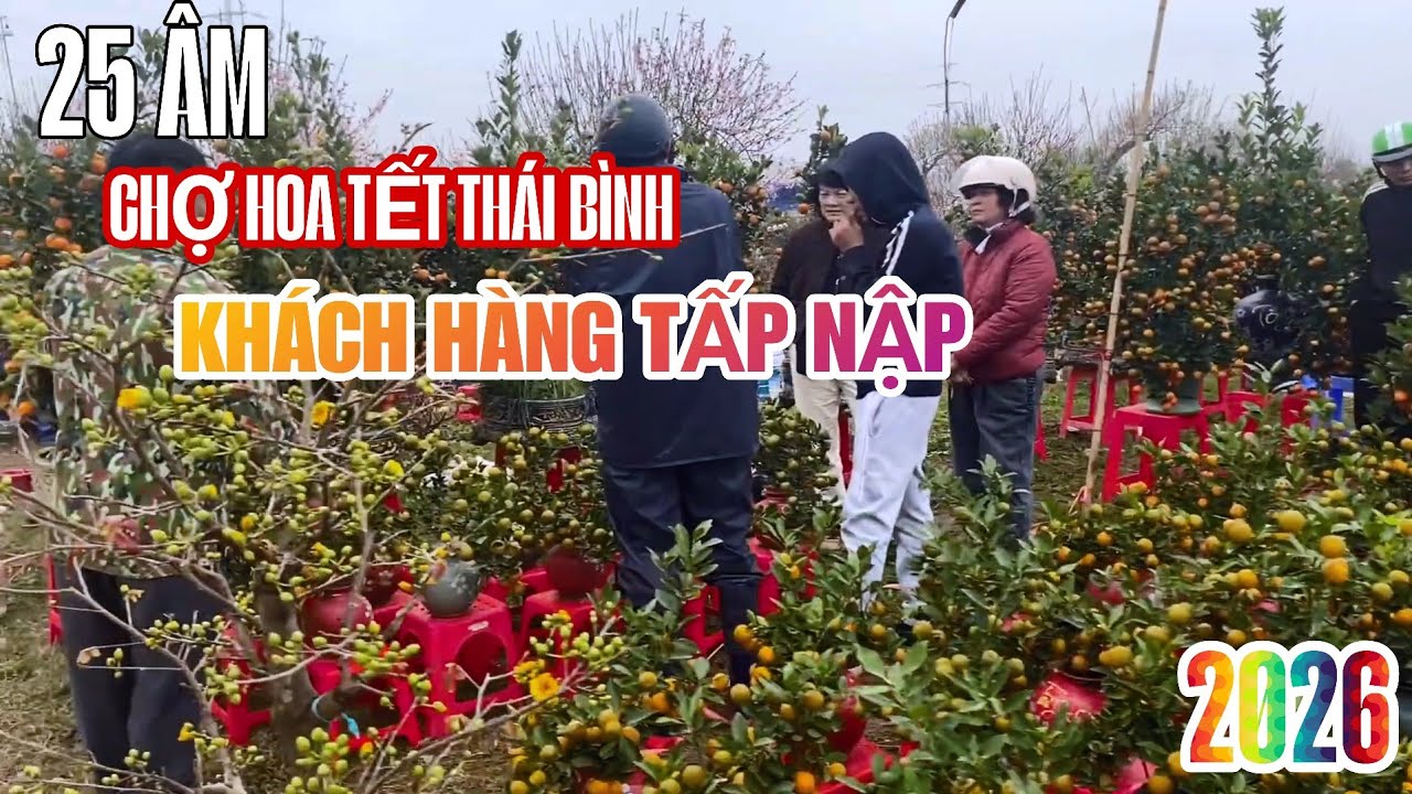Chợ Hoa Tết Thái Bình 25 Âm Không Khí Tấp Nập Nhộn Nhịp Của Rất Nhiều Du Khách Ngày Khô Giáo