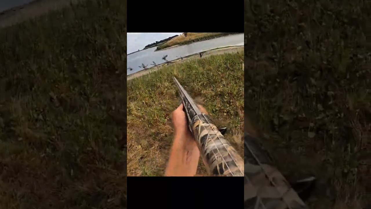 Три выстрела. Три падения. Никакой пощады. 🎯🦆🦆🦆🔥|#birdhunting #hunting #goosehunting #shorts #short