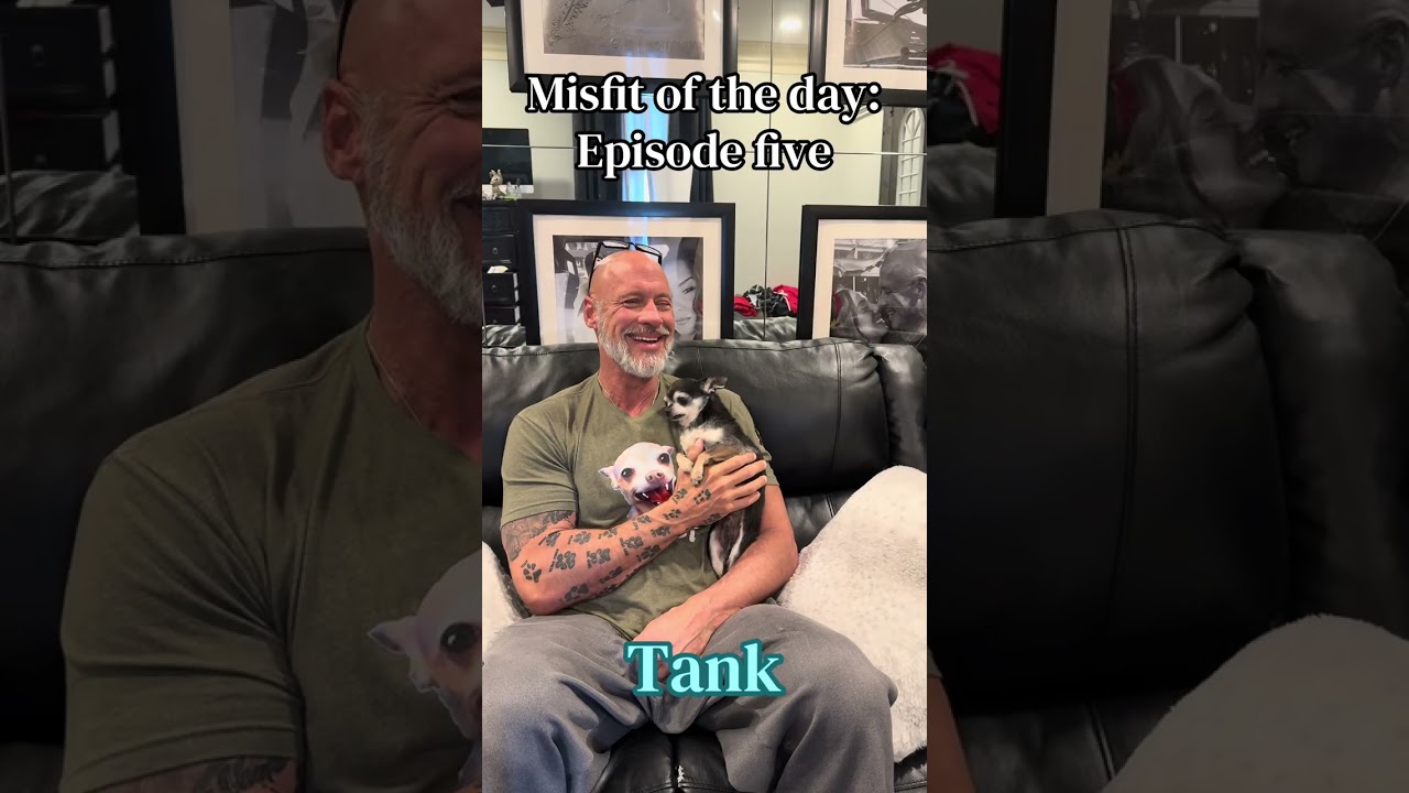 Misfit of the day episode five. Tank!!