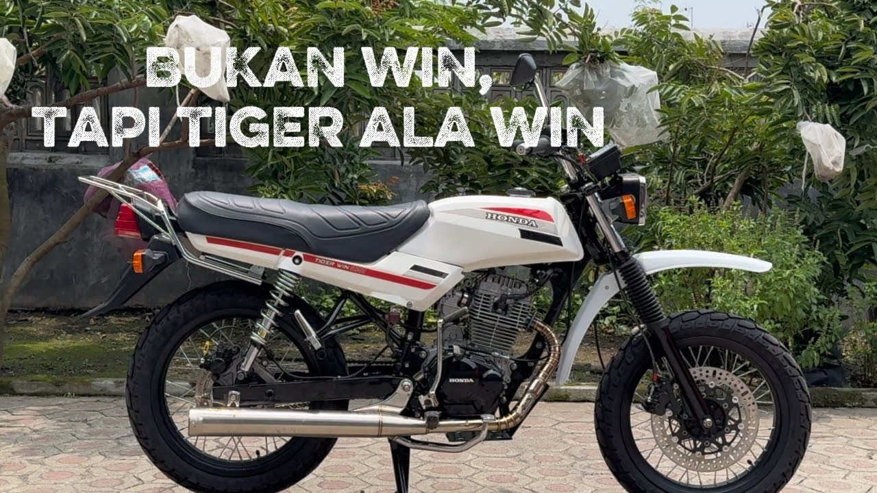 TIGER WIN DUA RATUS 