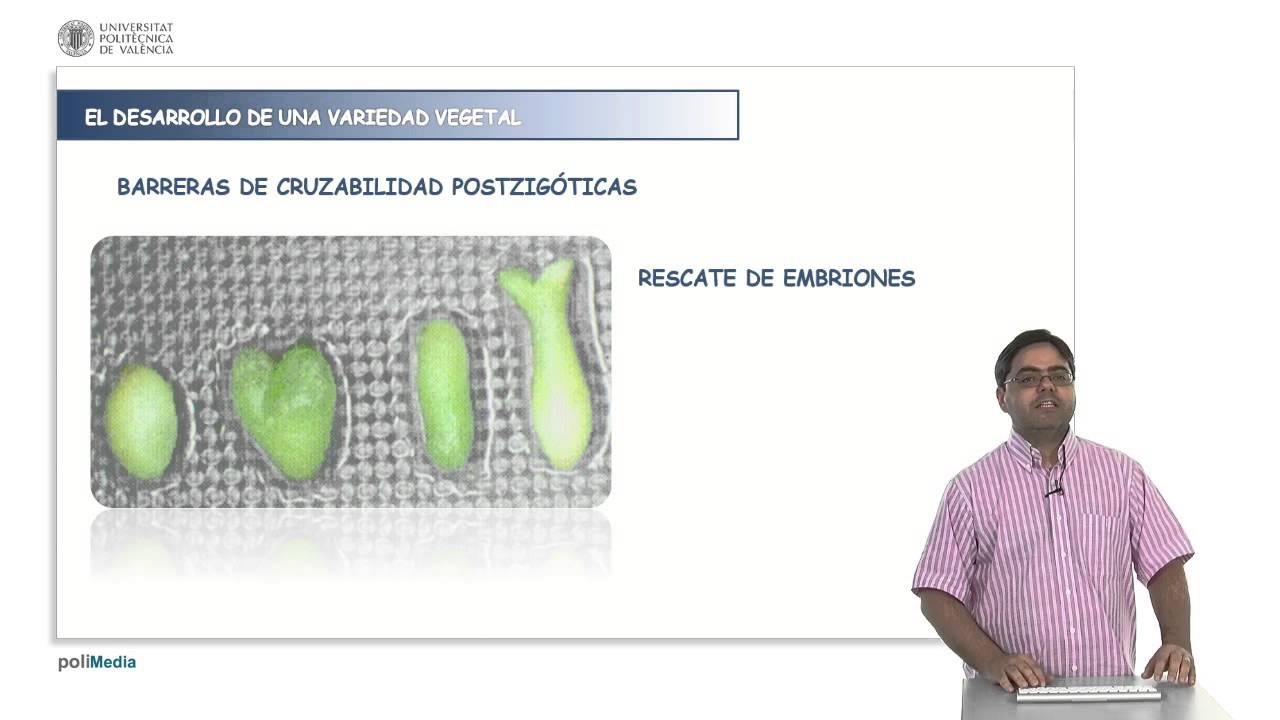 El aprovechamiento de la variacion en programas de mejora genetica vegetal | 8/28 | UPV