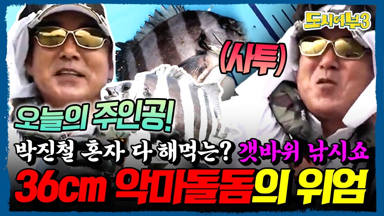도시어부3 박진철 주인공병 또 터졌다🔥 갯바위 3짜 악마돌돔 힛트→4짜까지 노린 역대급 조황쇼🎣 | 도시어부3