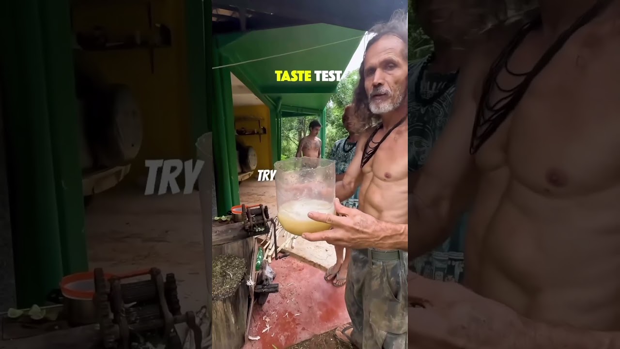 🇧🇷 How to make organic lemonade in the rainforest with WWOOF Brazil 🍋