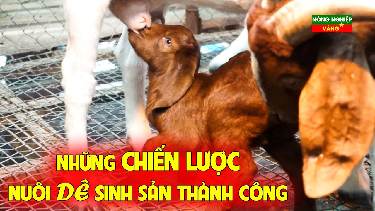 Những bí quyết 