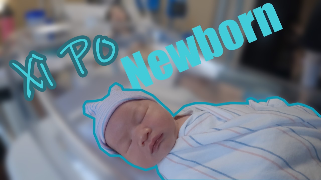 XìPo#1: Rước em bé về nhà