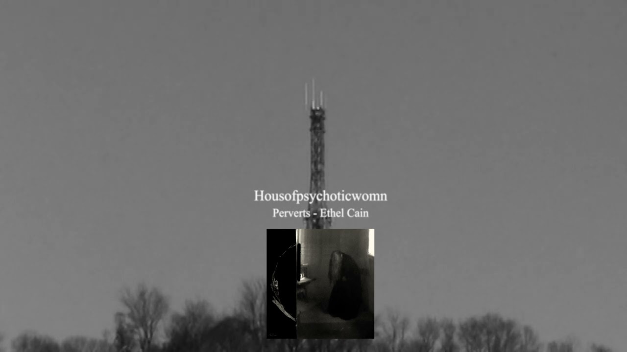 Ethel Cain - Housofpsychoticwomn (Official Visualizer)