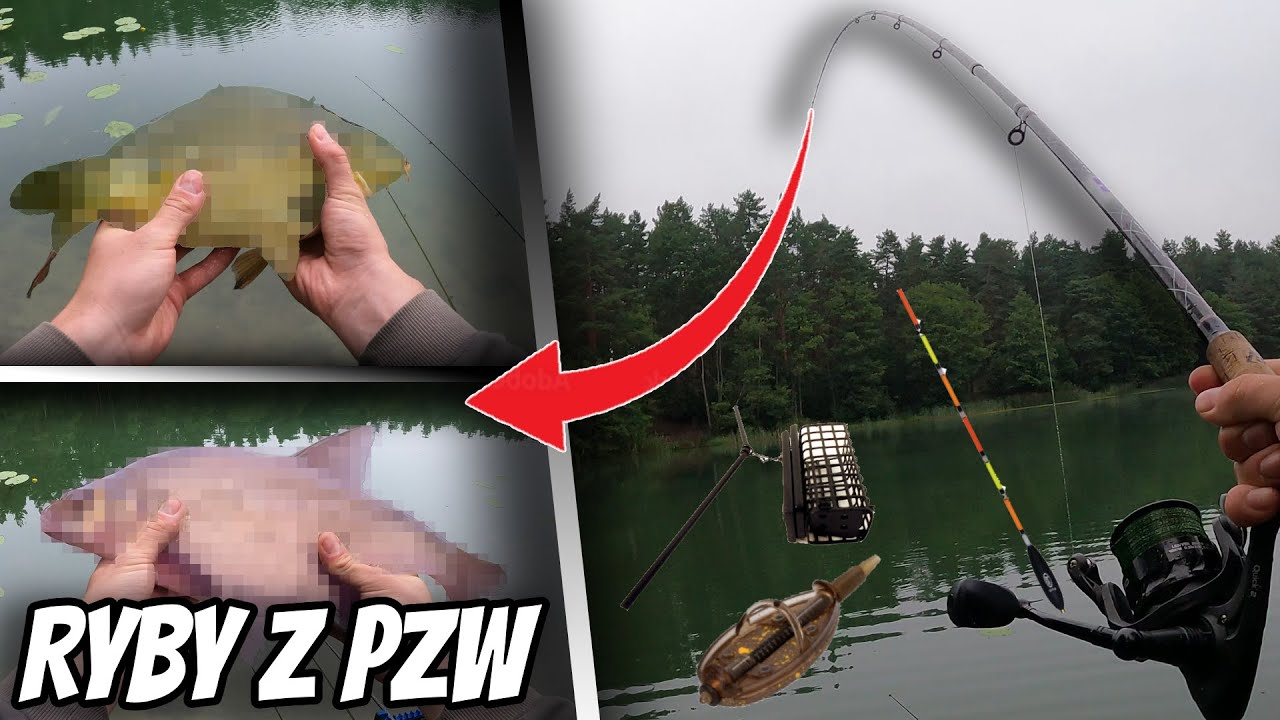SZALONE LESZCZE I KARP Z PZW