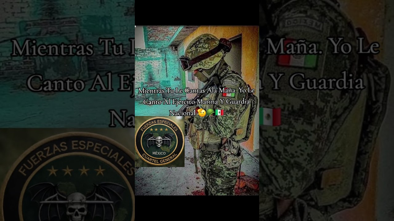 Pixeliados Patrullando Van🫡🪖🇲🇽/#Miusic🎶🪖🇲🇽