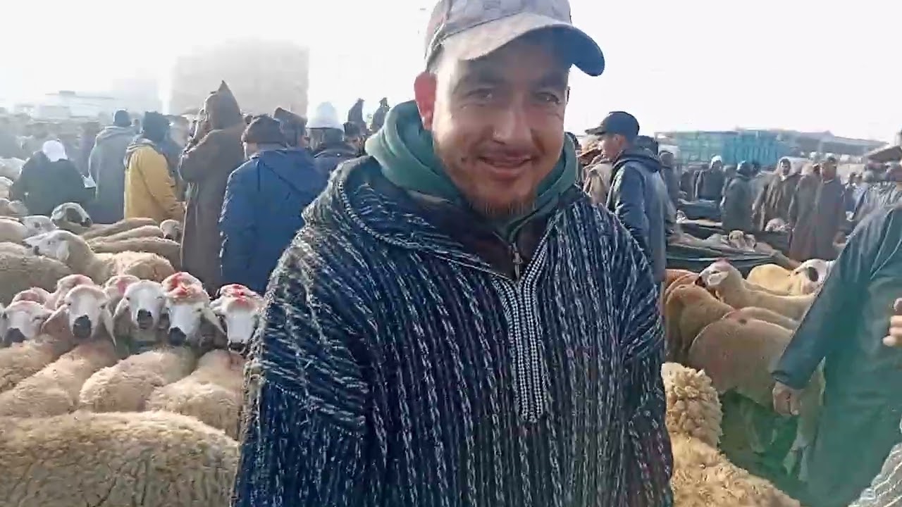 مباشرة من سوق الأسبوعي الاتنين قلعة السراغنة بتاريخ  /16|03|2026