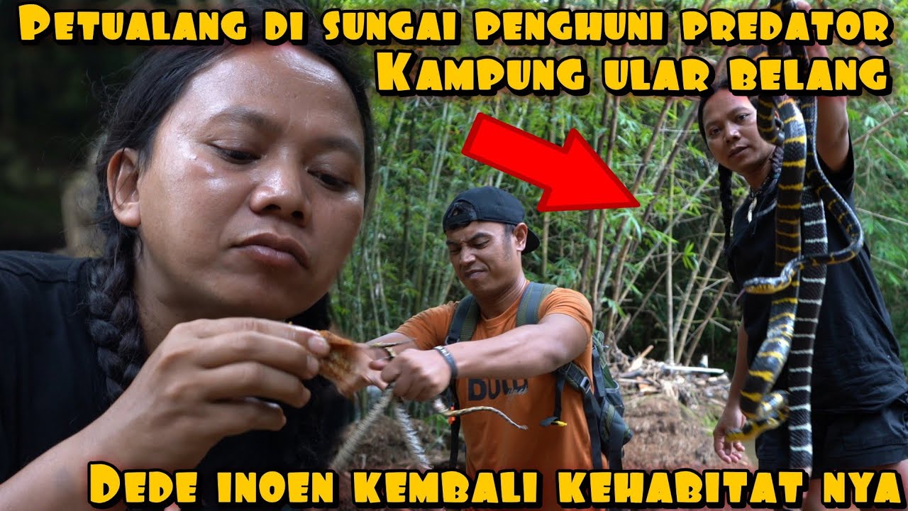 DEDE INOEN SURVIVAL DI KAMPUNG ULAR