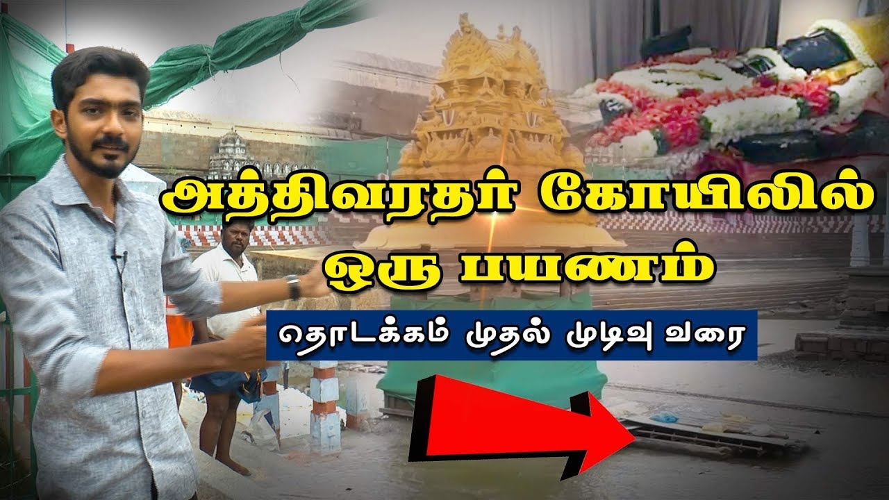 அத்திவரதர் கோயிலில் ஒரு பயணம் 2019 | Athivaradar | Kanchipuram Temple | Dinamalar | Hari