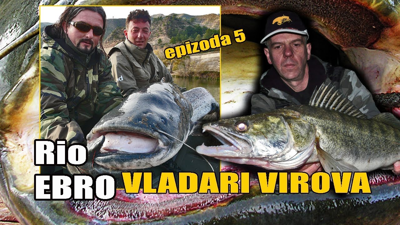 SOMovi i SMUĐevi iz dubina! Recept za prženog smuđa - Vladari virova E-5/6 / VSP Igor Pavičić
