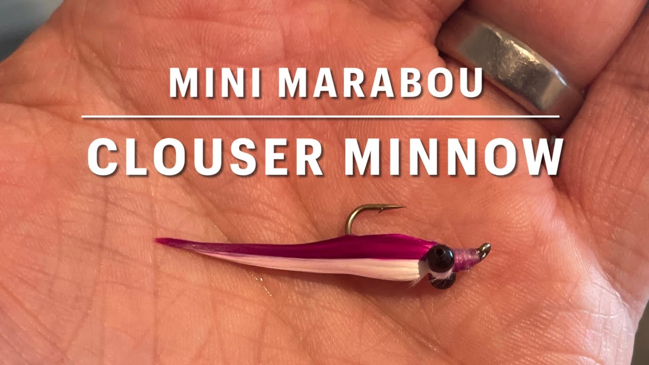 Mini Marabou Clouser Minnow - finessing one bass and bluegill at a time!