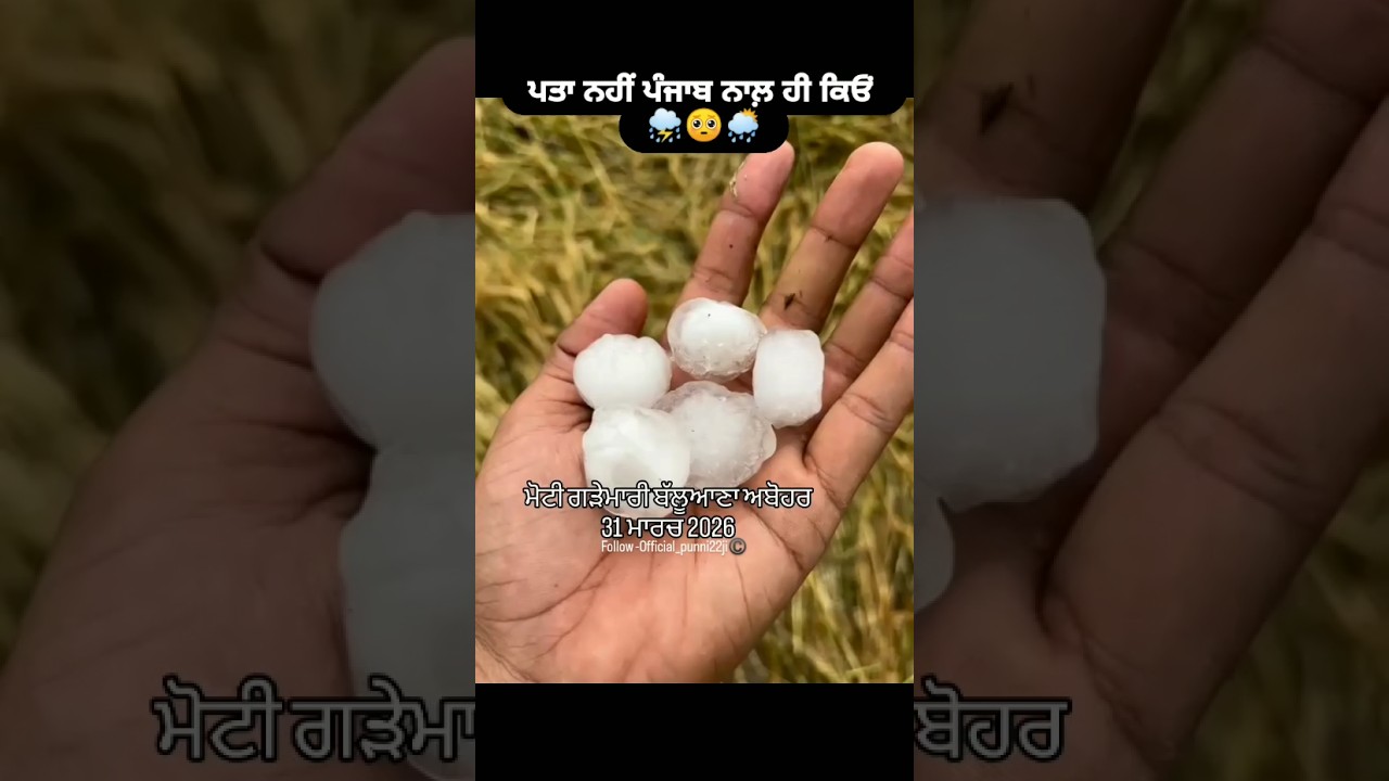 Ve Rabba 🥺🤲 #rain #forecast #punjab #weather #weatherupdate #shorts #ytshorts