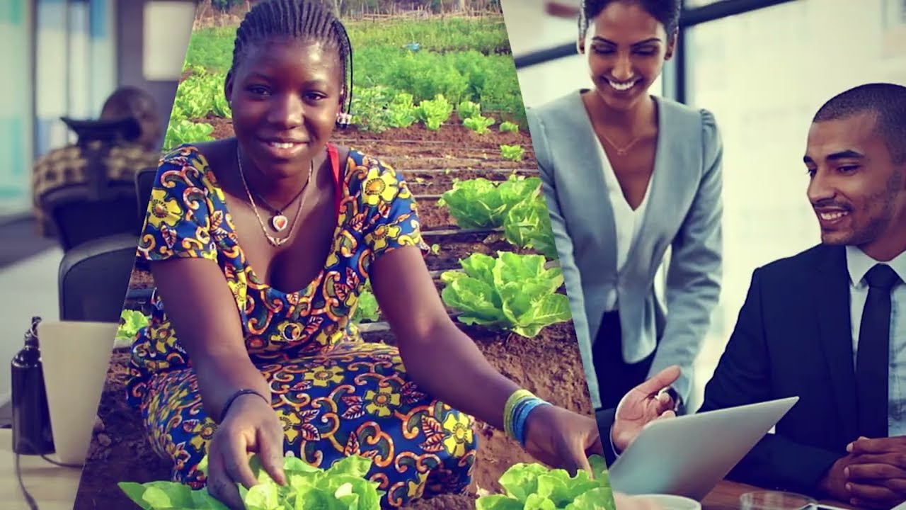 Volet Entrepreneuriat du PA PSGOUV : bilan à mi-parcours et perspectives pour 2025