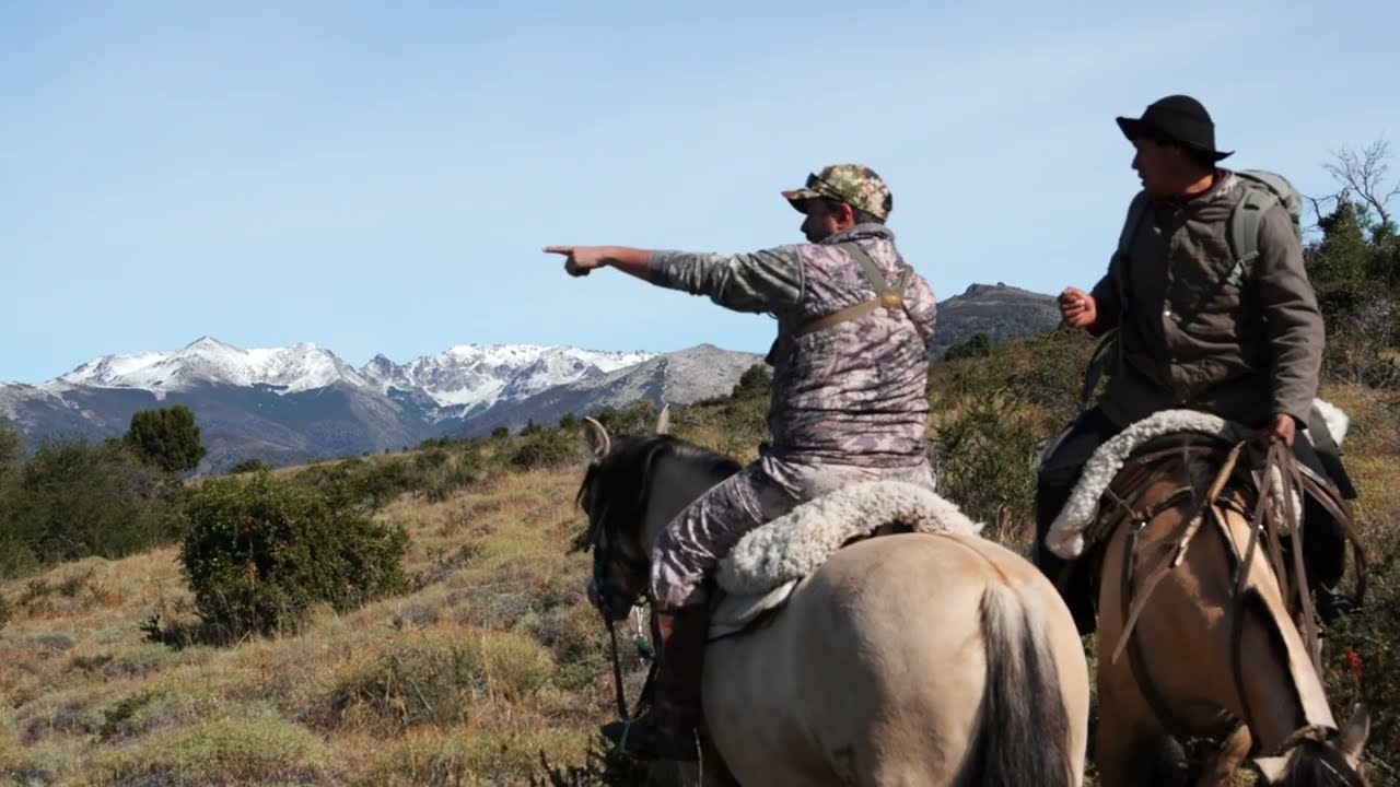 Red Stag Hunting in Argentina - Red Stag Lanin 4k