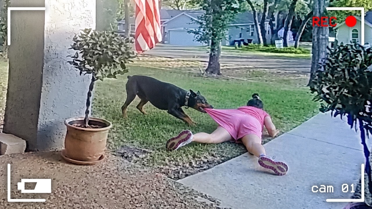 Best Fails of the Month 😂 Try Not to Laugh Challenge