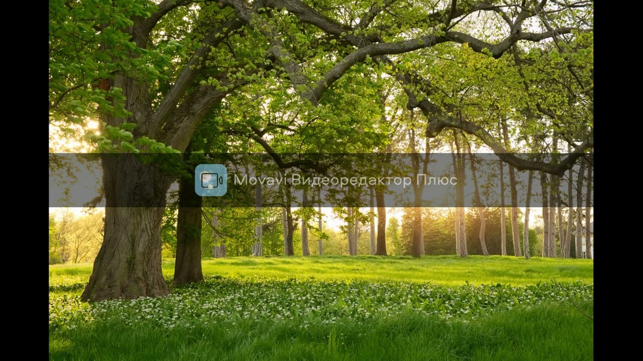 Ray X. - Книга мудрости. 3-е издание.