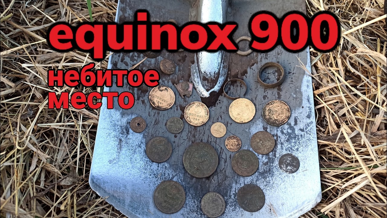 Удачный коп монет. Поиск старины с металлоискателем 2025. EQUINOX 900 #поискмонет #монеты #equinox