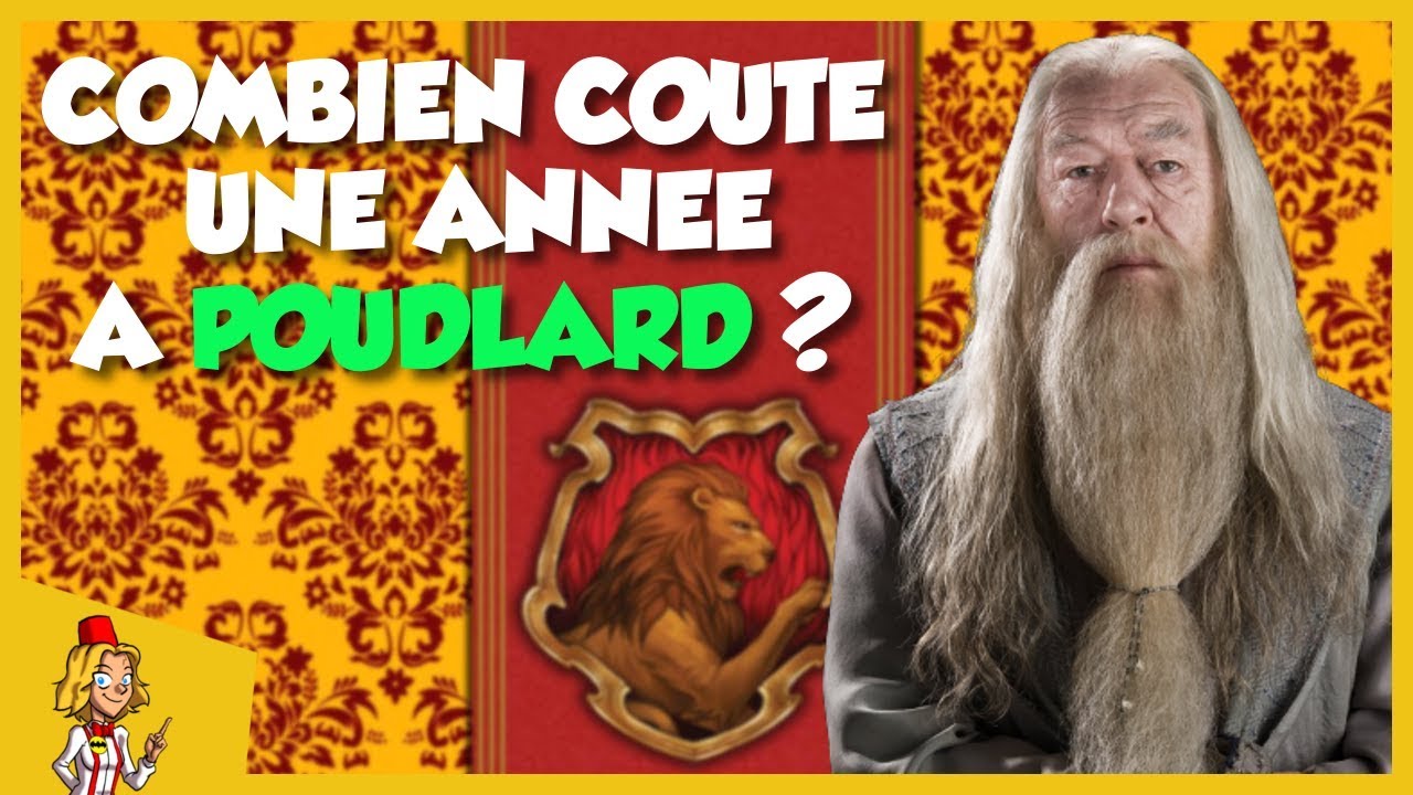 COMBIEN COUTE UNE ANNEE A POUDLARD ?
