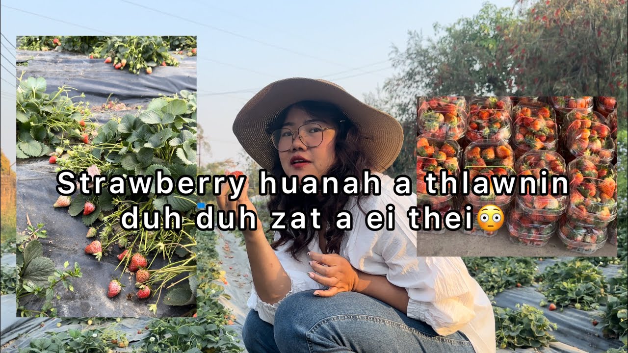 Strawberry huanah a thlawnin duh duh zat a ei theih😳