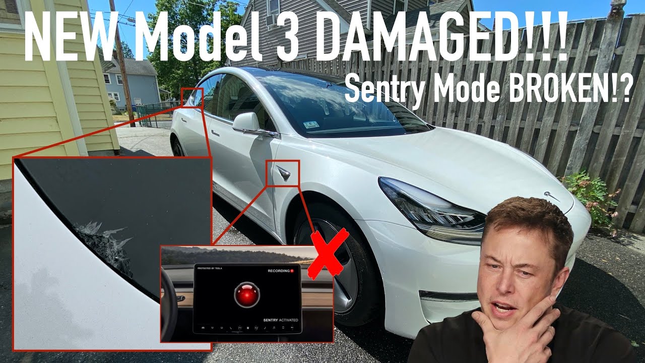 Tesla Model 3 Delivered CRACKED! Sentry Mode Broken! - First Tesla Service Center Experience