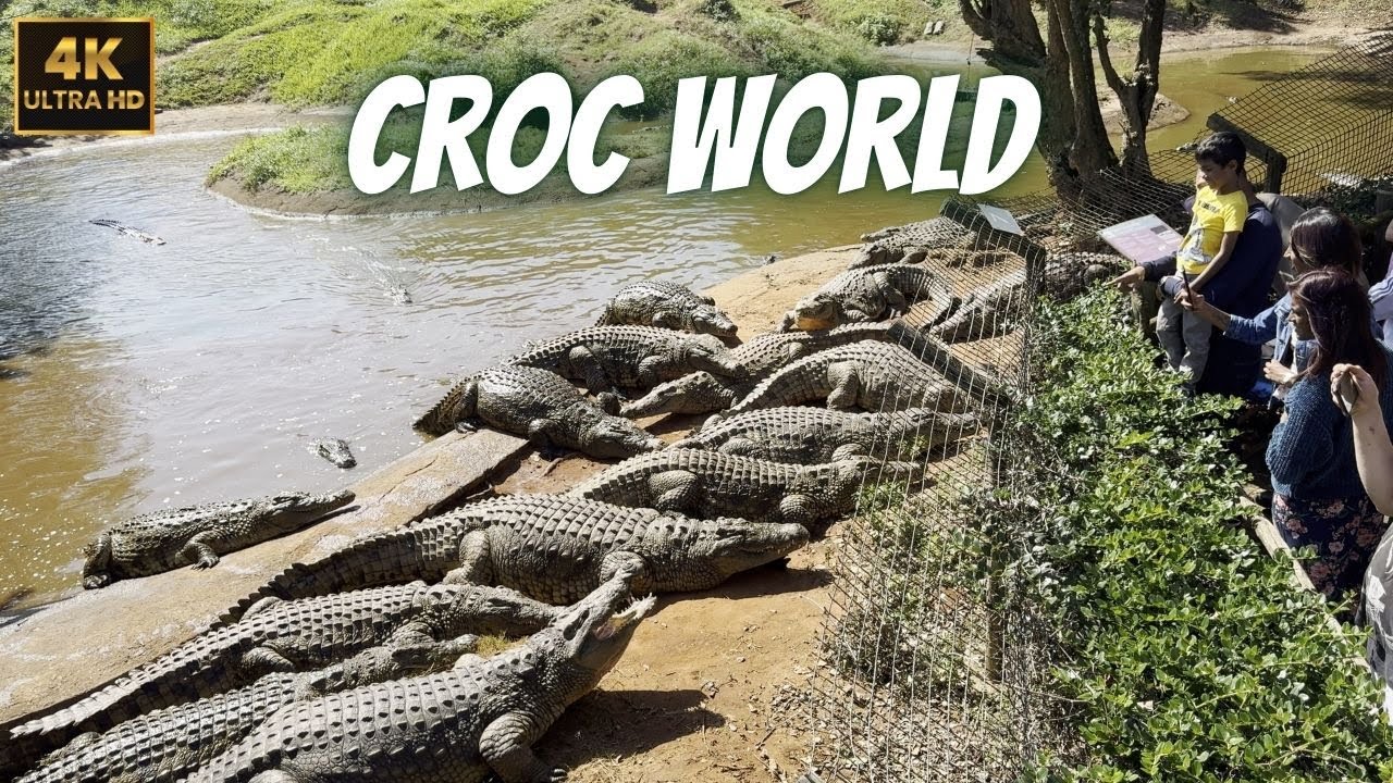 CrocWorld - South Africa