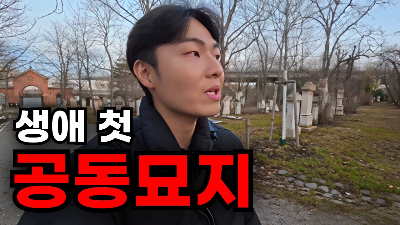 🇦🇹모차르트에 미친 나라, 진짜 끝까지 따라가 봤습니다 [오스트리아-2]