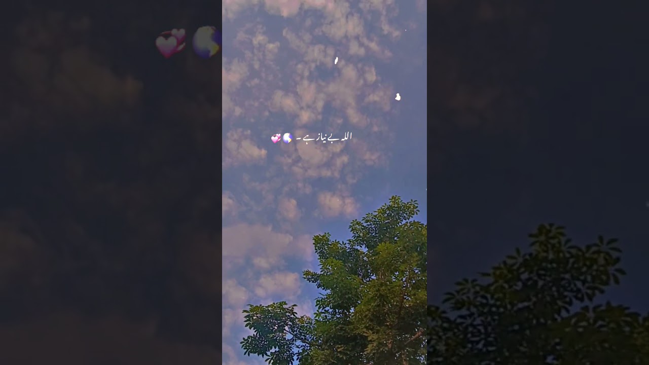 SubhanAllah❤️