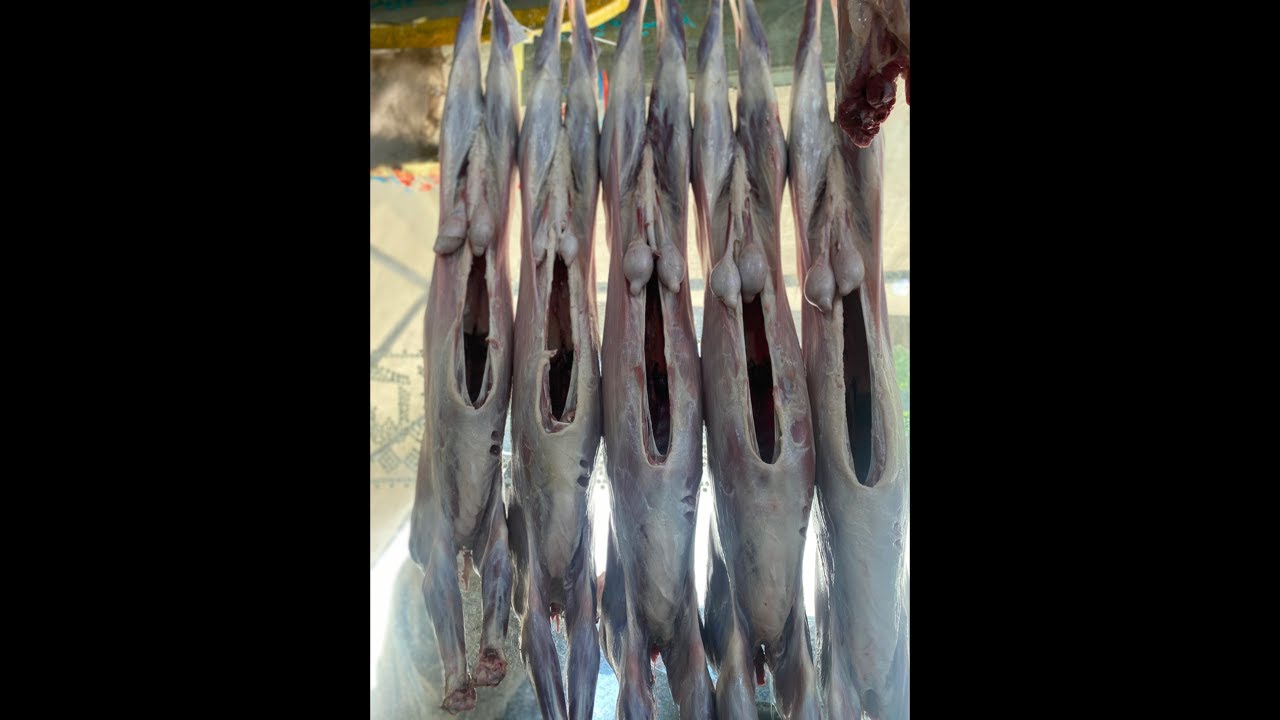 Noorani Mutton shop whole saler is live mutton palak cut #noorani #food #muttonrecepi #live #viral