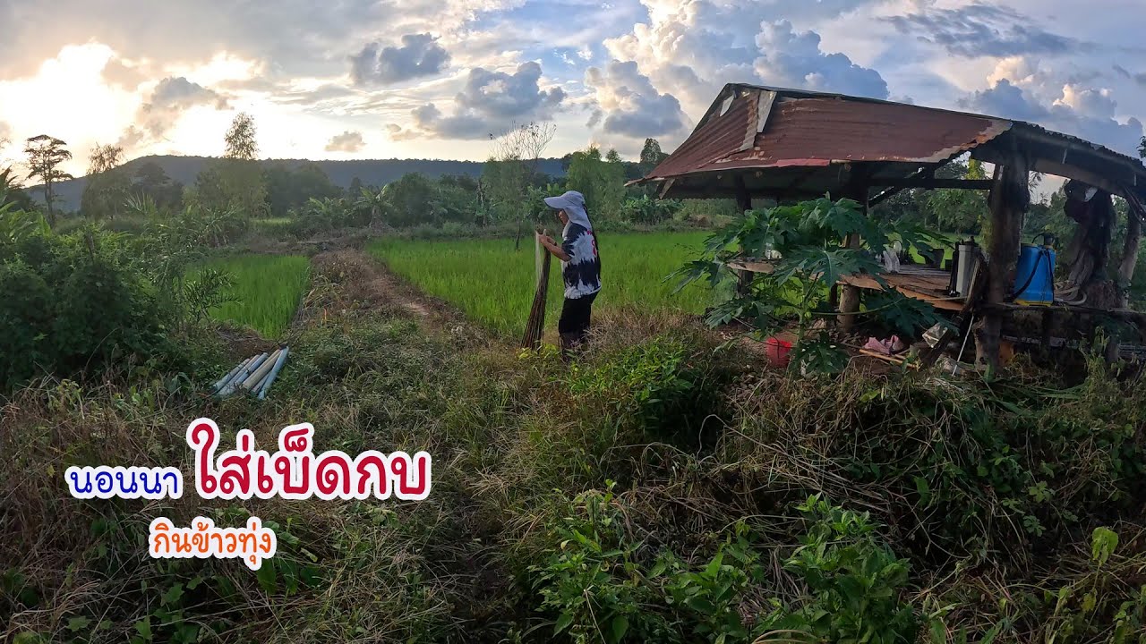 ใส่เบ็ดกบเบ็ดปลานอนนา กินหมกกบอยู่เถียงนา