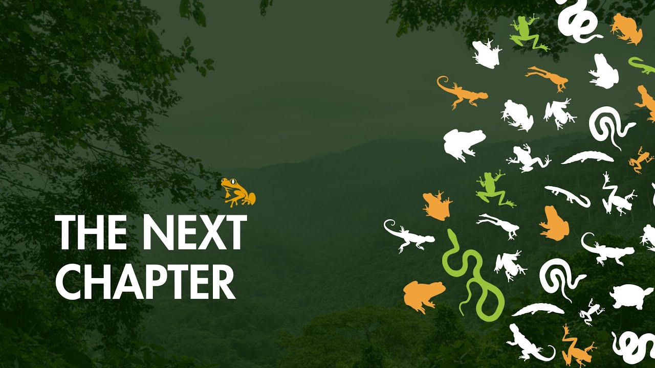 Herp Conservation Ghana Strategic Plan and Brand Launch