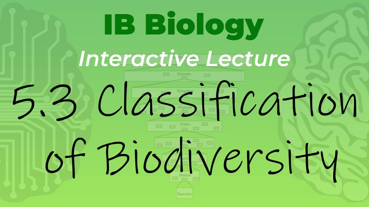 Mr. Leonard's IB Biology Video Course - 5.3 Classification of Biodiversity (handout in description)